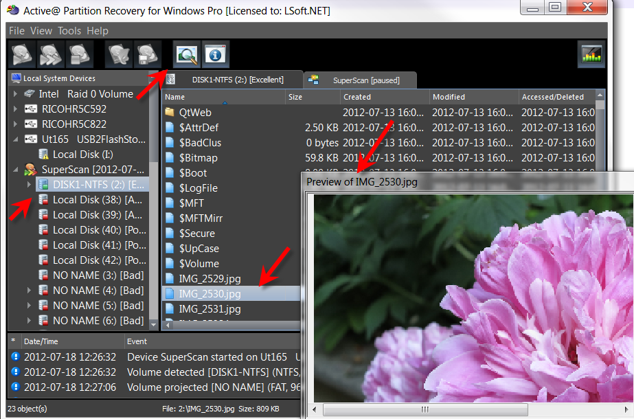 Specific iles can be previewed for each detected volume